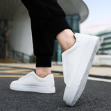 Bernardo | Chic Tenisky
